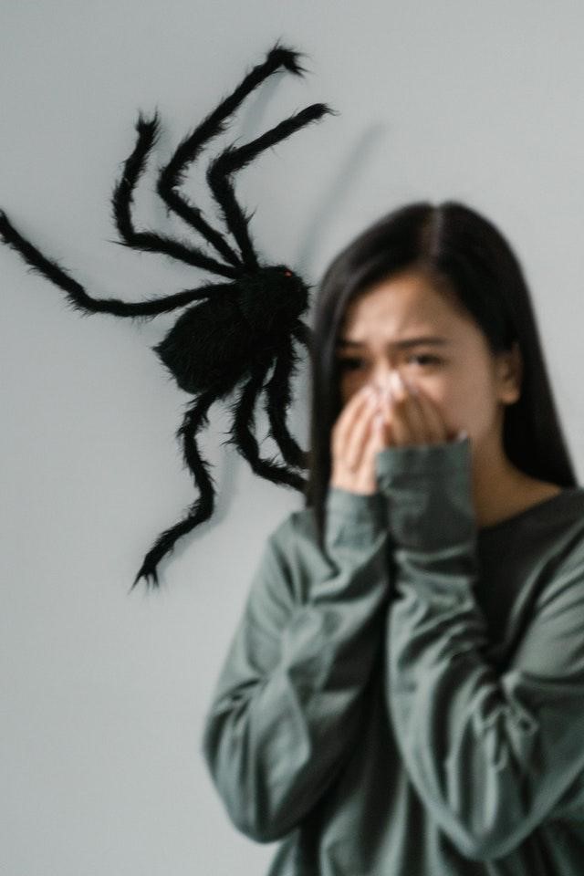 Asian girl frightened realised a giant spider on the wall behind her