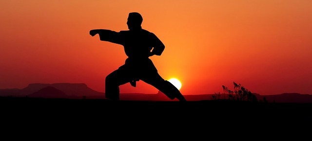 The silhouette of a karate man in the sunset