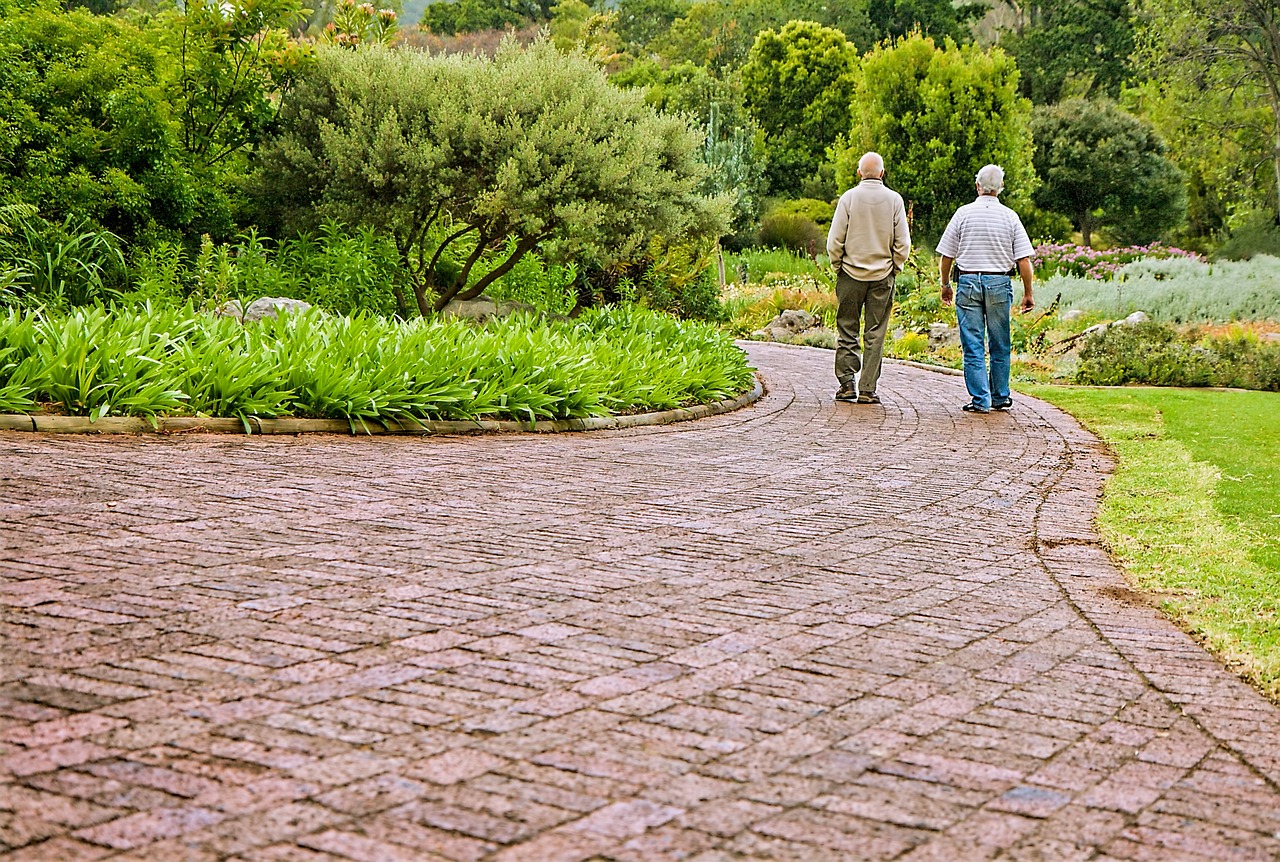 Two old friends walking in the park