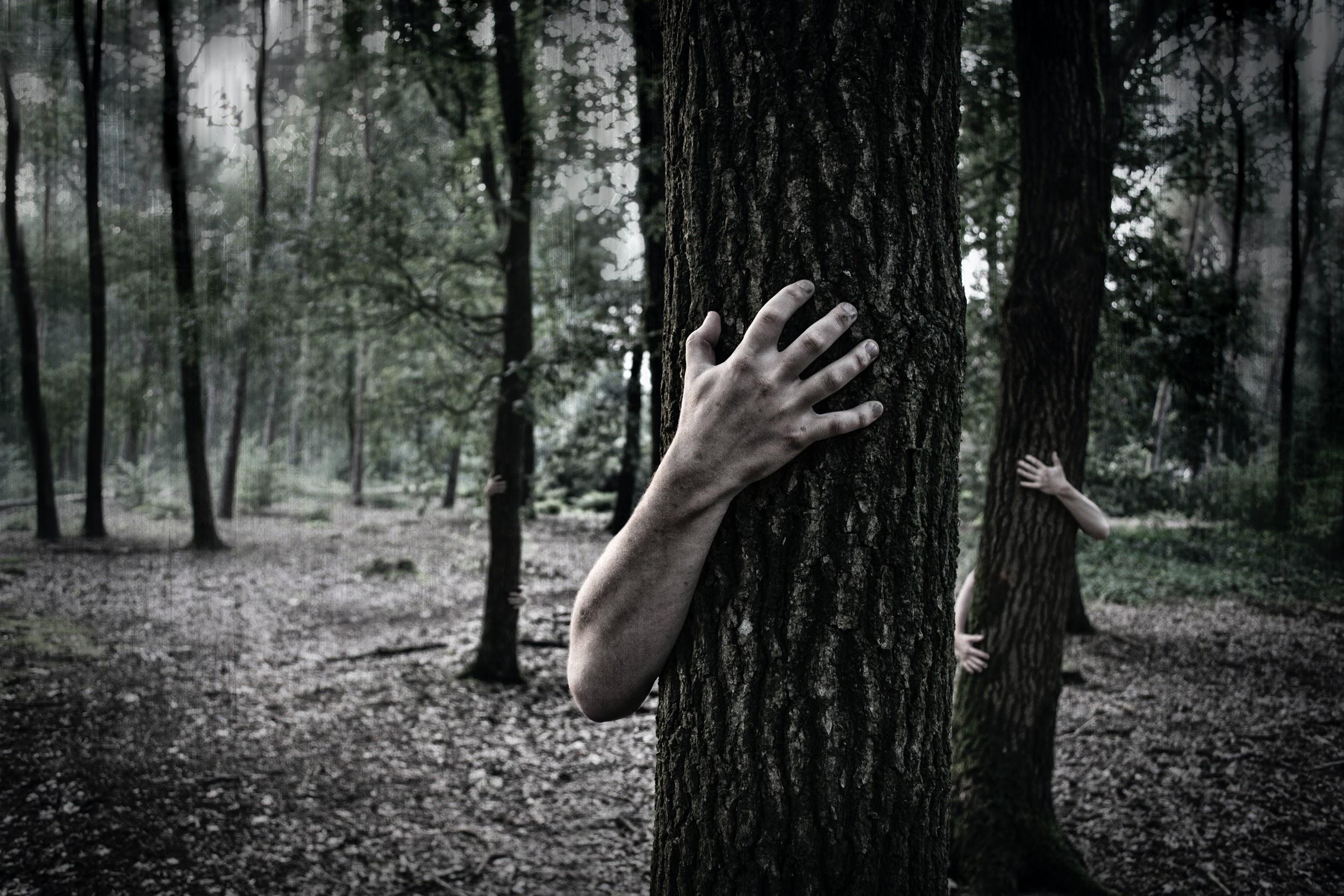 Scary dark forest with human hands on the trees