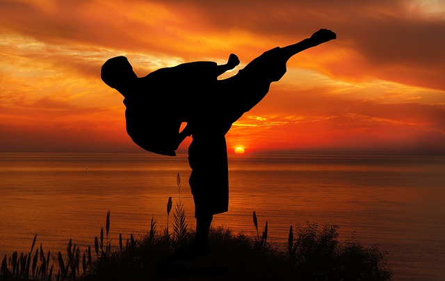 The silhouette of a boy practicing karate in the sunset