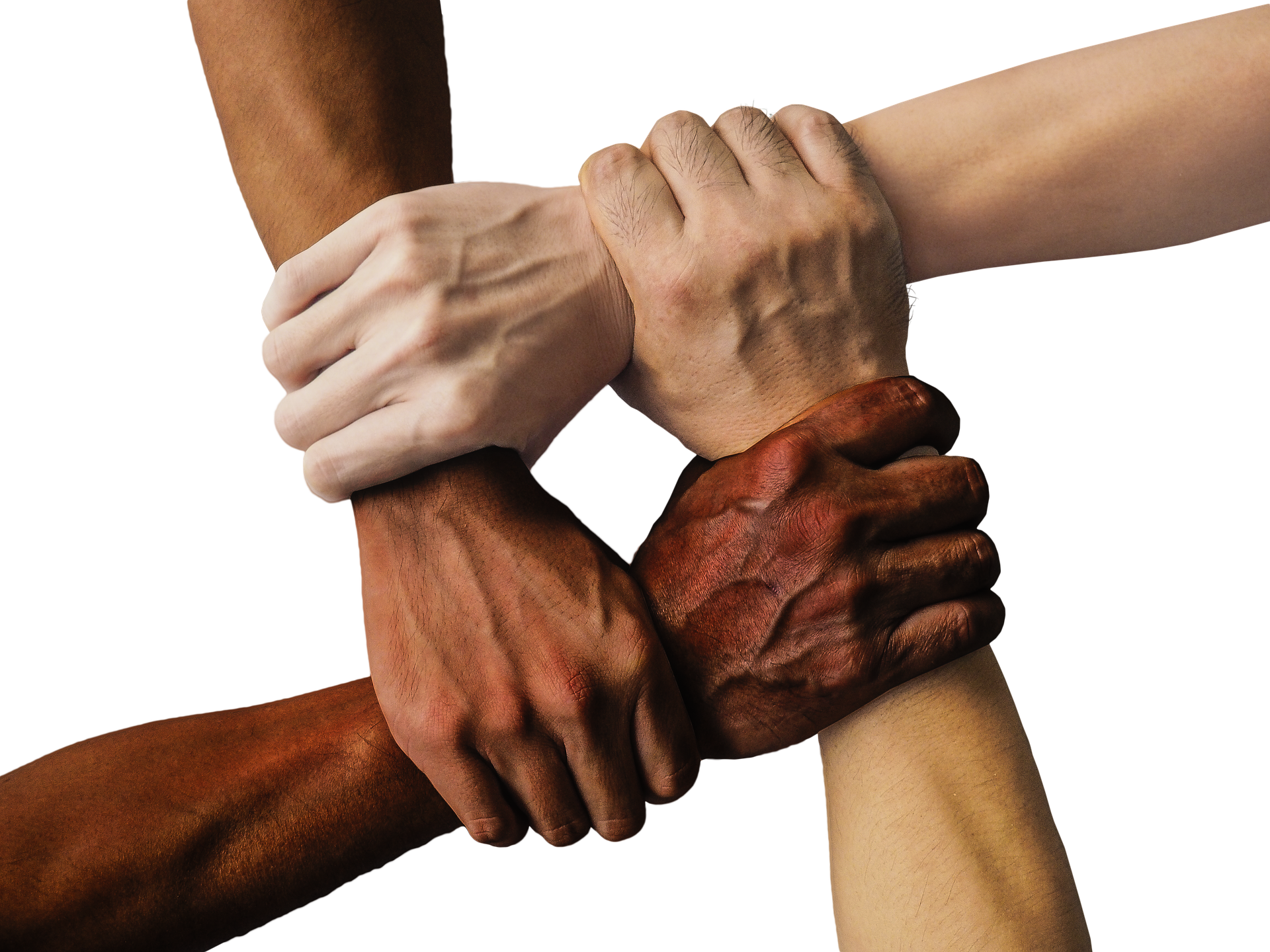 text: brown, pale, black, white skin colored hands grabbing the wrists, joining to each other